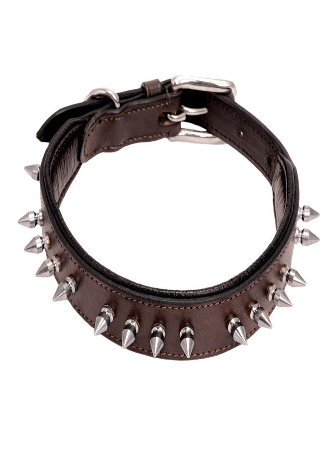 ADIL'S Leather Dog Collar 32mm with Spike, Adjustable Metal Buckle Studded Collars for Small, Medium, & Large Dog with D Ring, Width (1 ,1.5 ,1.25 ) Size (14 to 28 in),Black (Brown, S(12"-16")) - Image 1